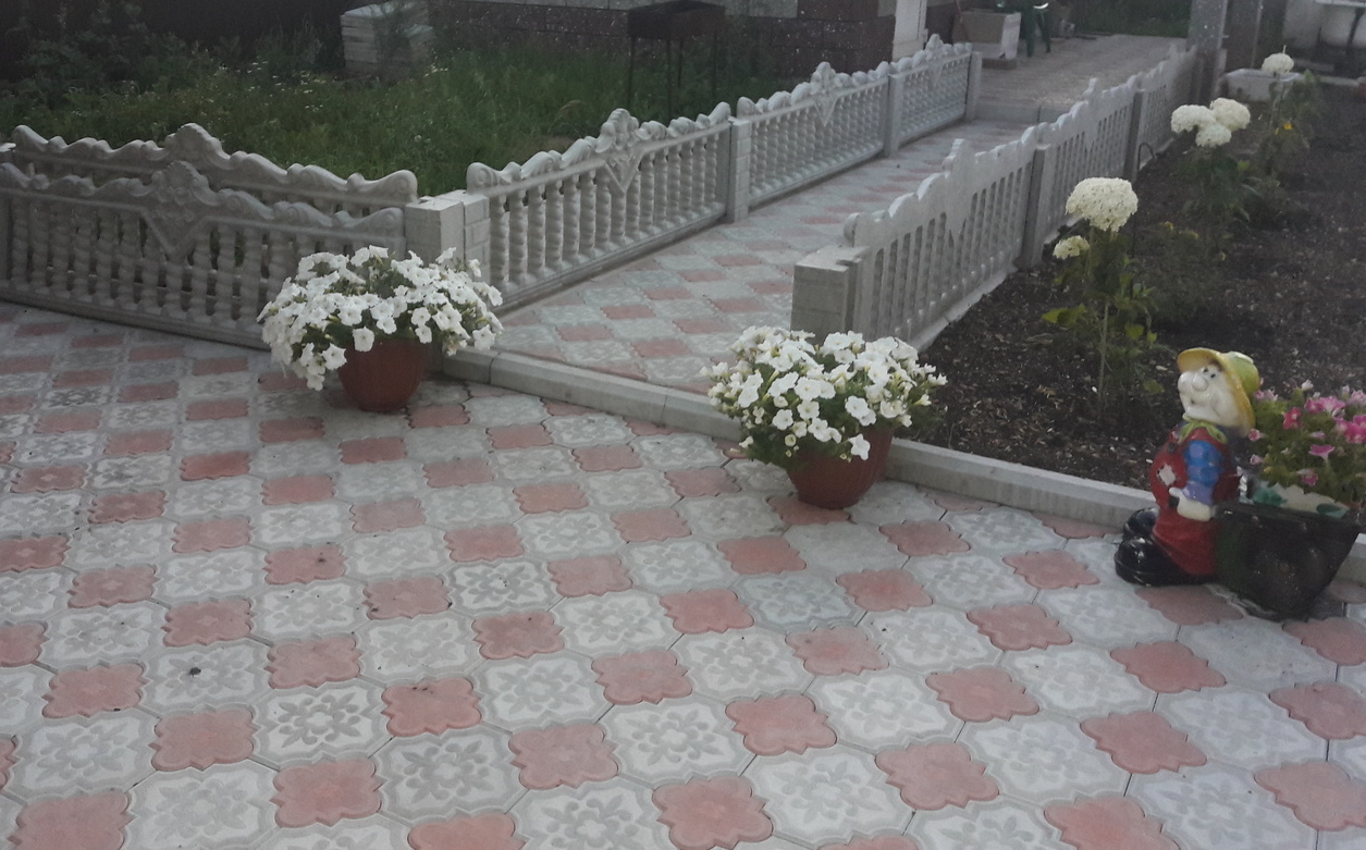 <span style="font-style: italic;">Клевер Краковский <br></span>